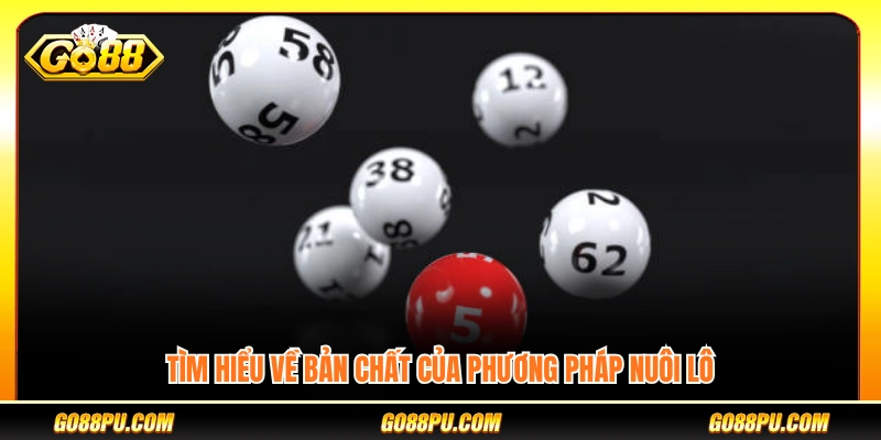 Nắm rõ nguyên lý của chiến thuật nuôi lô