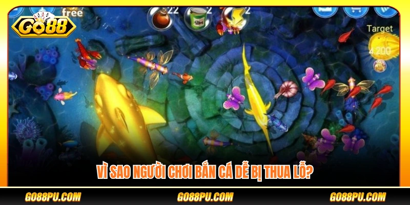 Nguyên nhân khiến người chơi bắn cá dễ mất tiền