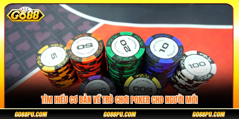 Kiến thức cơ bản về Poker cho người mới chơi