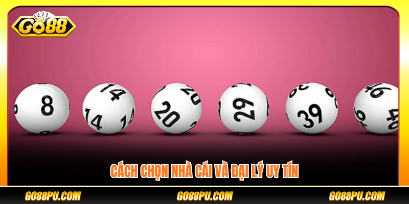 Tiêu chí lựa chọn nhà cái và đại lý đáng tin cậy
